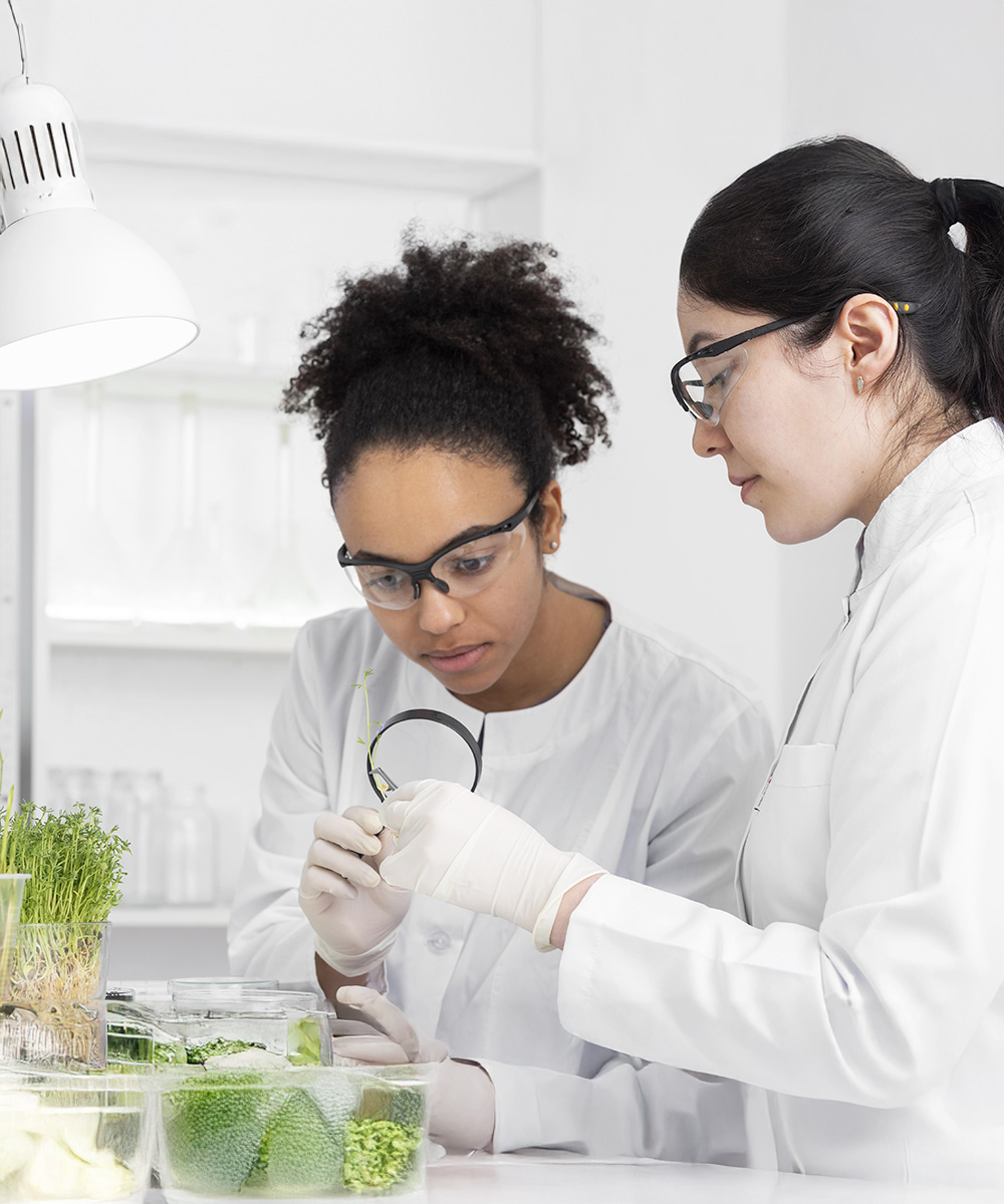 women-experiment-sprout